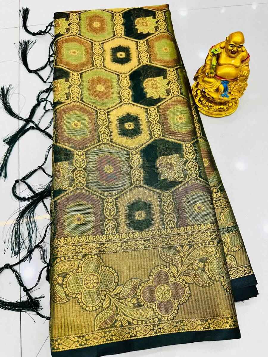 Orgenza Silk Sarees
